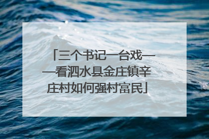 三个书记一台戏——看泗水县金庄镇辛庄村如何强村富民