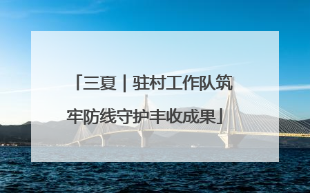 三夏｜驻村工作队筑牢防线守护丰收成果