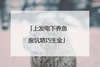 上发电下养鱼 废坑塘巧生金