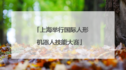 上海举行国际人形机器人技能大赛