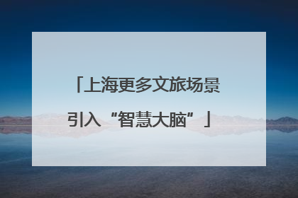 上海更多文旅场景引入“智慧大脑”
