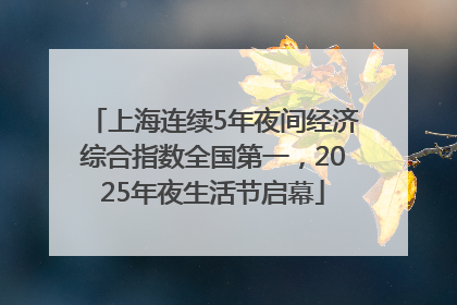 上海连续5年夜间经济综合指数全国第一，2025年夜生活节启幕