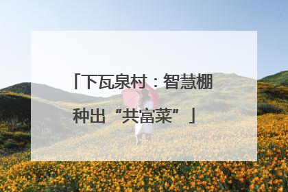下瓦泉村：智慧棚种出“共富菜”