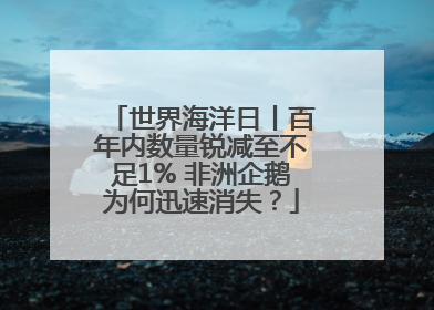 世界海洋日丨百年内数量锐减至不足1% 非洲企鹅为何迅速消失？