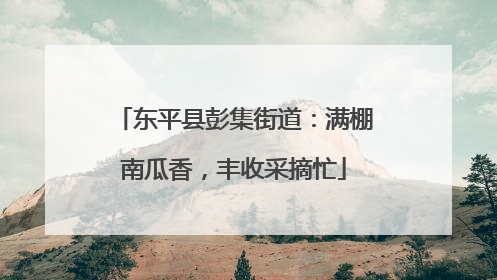 东平县彭集街道:满棚南瓜香,丰收采摘忙