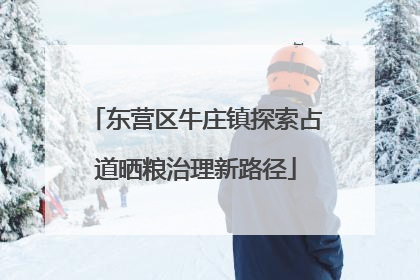 东营区牛庄镇探索占道晒粮治理新路径
