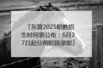 东营2025职教招生时间表公布：6月27日起分两阶段录取