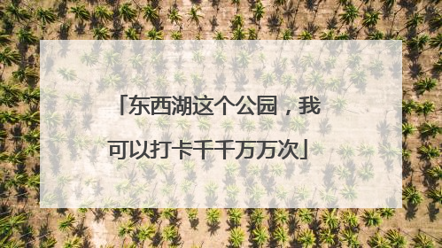 东西湖这个公园，我可以打卡千千万万次