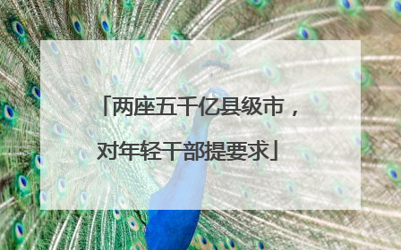 两座五千亿县级市，对年轻干部提要求