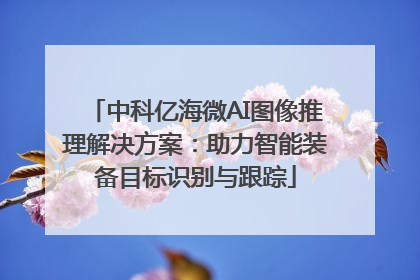 中科亿海微AI图像推理解决方案：助力智能装备目标识别与跟踪