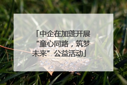 中企在加蓬开展“童心同路，筑梦未来”公益活动