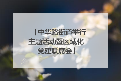 中华路街道举行主题活动暨区域化党建联席会