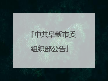 中共阜新市委组织部公告