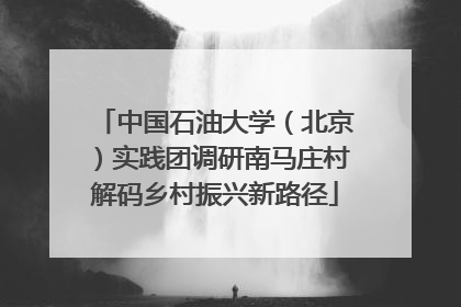 中国石油大学（北京）实践团调研南马庄村解码乡村振兴新路径
