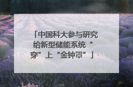 中国科大参与研究 给新型储能系统“穿”上“金钟罩”