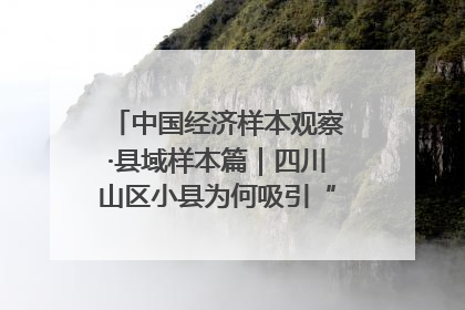中国经济样本观察·县域样本篇｜四川山区小县为何吸引“村播”扎堆？