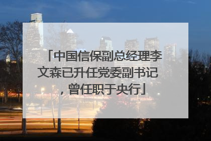 中国信保副总经理李文森已升任党委副书记，曾任职于央行