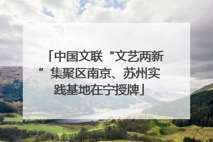 中国文联“文艺两新”集聚区南京、苏州实践基地在宁授牌