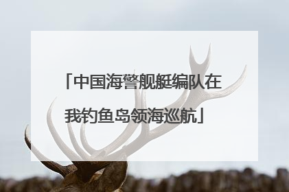 中国海警舰艇编队在我钓鱼岛领海巡航