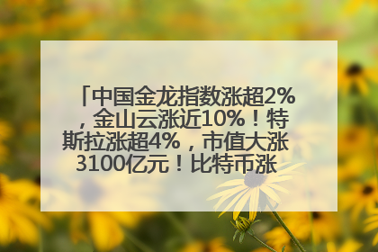 中国金龙指数涨超2%，金山云涨近10%！特斯拉涨超4%，市值大涨3100亿元！比特币涨回11万美元关口