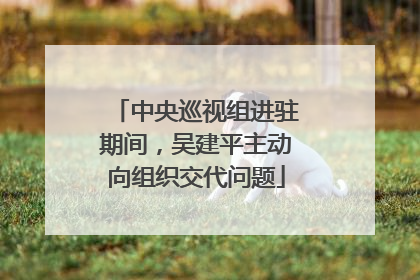 中央巡视组进驻期间，吴建平主动向组织交代问题
