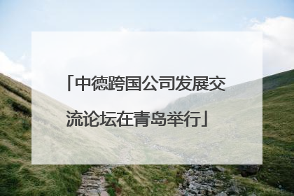 中德跨国公司发展交流论坛在青岛举行