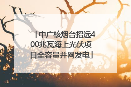 中广核烟台招远400兆瓦海上光伏项目全容量并网发电