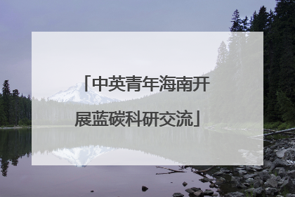 中英青年海南开展蓝碳科研交流