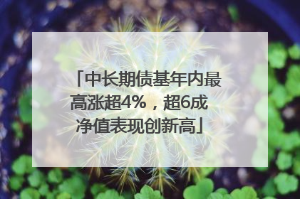 中长期债基年内最高涨超4%，超6成净值表现创新高