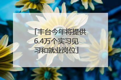 丰台今年将提供6.4万个实习见习和就业岗位