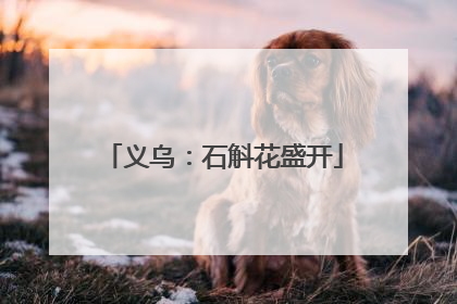 义乌：石斛花盛开