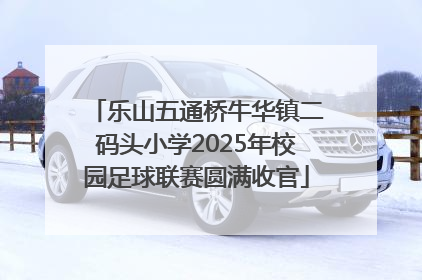 乐山五通桥牛华镇二码头小学2025年校园足球联赛圆满收官