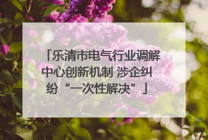 乐清市电气行业调解中心创新机制 涉企纠纷“一次性解决”