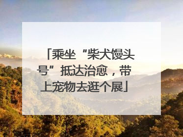 乘坐“柴犬馒头号”抵达治愈，带上宠物去逛个展