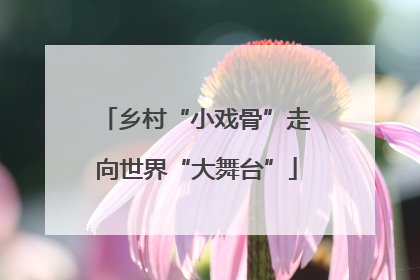 乡村“小戏骨”走向世界“大舞台”