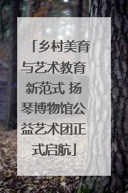 乡村美育与艺术教育新范式 扬琴博物馆公益艺术团正式启航