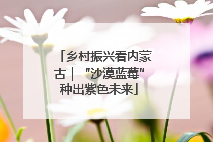 乡村振兴看内蒙古｜“沙漠蓝莓”种出紫色未来
