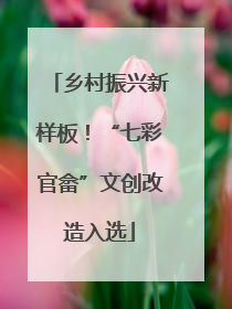 乡村振兴新样板！“七彩官畲”文创改造入选