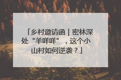 乡村邀请函｜密林深处“羊咩咩”，这个小山村如何逆袭？