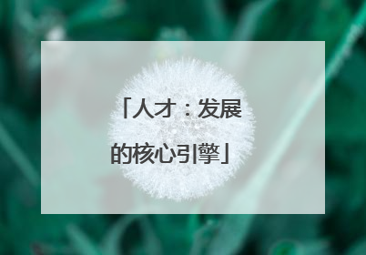 人才：发展的核心引擎