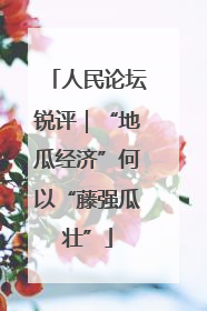 人民论坛锐评｜“地瓜经济”何以“藤强瓜壮”