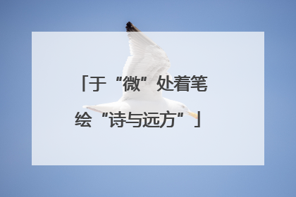 于“微”处着笔 绘“诗与远方”