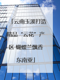云南玉溪打造精品“云花”产区 蝴蝶兰飘香东南亚