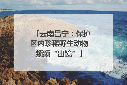 云南昌宁：保护区内珍稀野生动物频频“出镜”