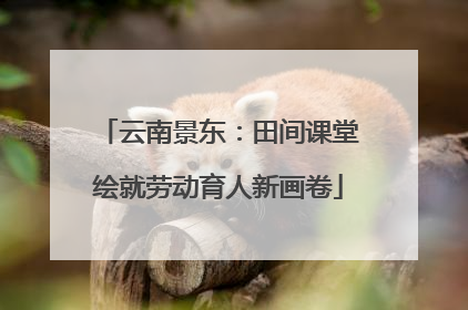 云南景东：田间课堂绘就劳动育人新画卷