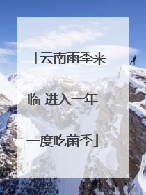 云南雨季来临 进入一年一度吃菌季