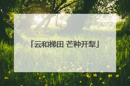 云和梯田 芒种开犁