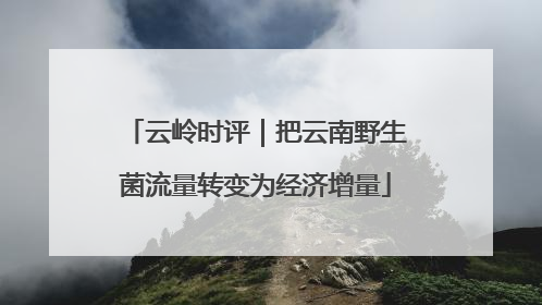 云岭时评｜把云南野生菌流量转变为经济增量