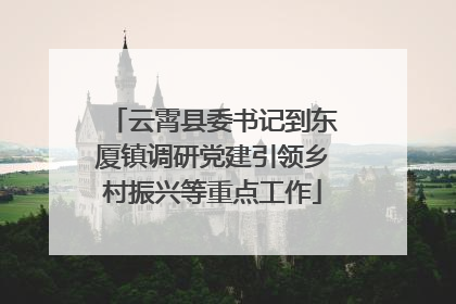 云霄县委书记到东厦镇调研党建引领乡村振兴等重点工作
