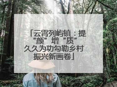 云霄列屿镇：提“颜”增“质” 久久为功勾勒乡村振兴新画卷